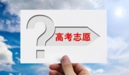 选​理科别选文科 