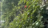 ​在婆婆眼里，做一个居委会大妈或事业单位司机都比在私企上班体面、稳定