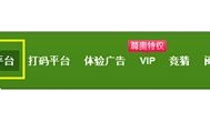 如何利用电脑赚钱？怎么日赚300元？！