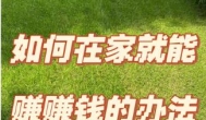哪些副业适合在家不出门就可以干的？适合在家不出门赚钱的方法推荐