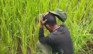 儿时不解，大人为何拼尽全力，依然清贫