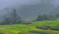 ​原来最治愈你的，是带给你平静的人
