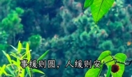 ​你一定要相信，人生真的会突然变好的