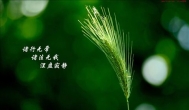 无常