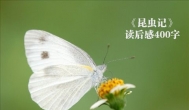 昆虫记读后感400字，读昆虫记有感400字感想感慨