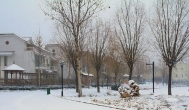 下雪天在家可以做什么赚钱？