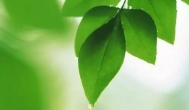 把网赚心态摆正，学会共赢才能赚更多钱