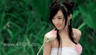 网赚，惊喜无处不在！