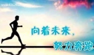 没有随随便便的成功，只有随随便便的失败~