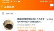 万能的淘宝，什么都有卖的