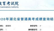大武汉确实是个英雄的城市：武汉学霸唐楚玥高考725分