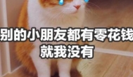 零花钱怎么赚？2020年正规赚零花钱方法推荐