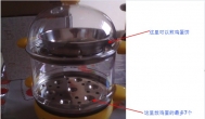 惊喜就在眼前，第一个实物奖品了-小熊煮蛋器