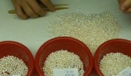 在家手工活兼职：串珠子？叠袜子？十字绣兼职的骗局