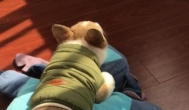 疫情期间居家如何快速赚零用钱？
