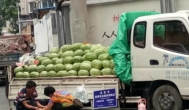 在街头路边大车卖西瓜的一月能赚多少钱？