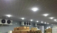 想建一个冷库靠出租能赚钱么？