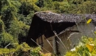 ​七岁那年，母亲带我去姨妈家作客