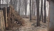 你老家都没有人住了，为什么还留着那条老狗?