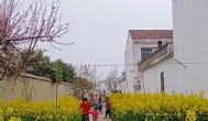 我儿时最好的小伙伴在桥头捡回来养的