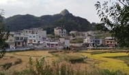 什么游戏试玩平台最大?非骆驼侠app莫属