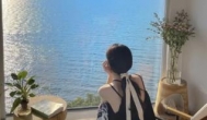 江南小院真的能赚钱吗？稀有图鉴能集齐吗？