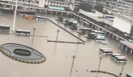 ​赶海 