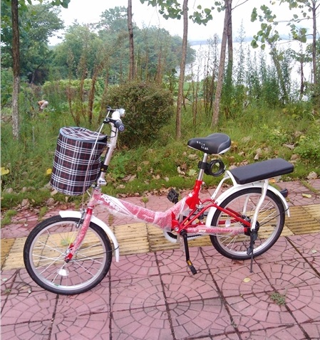 永久折叠自行车