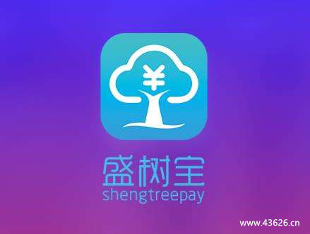类似盛树宝的软件，比盛树宝费率还低的app软件