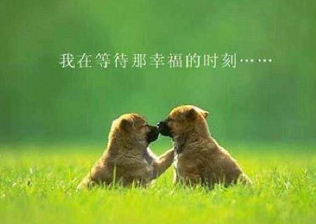 兜财神好样的，期待你们的下一个好项目