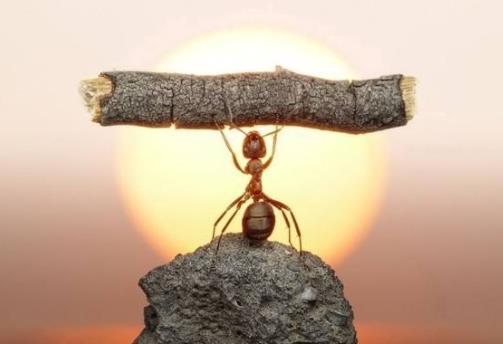 让自己强大，别人才会更尊重你