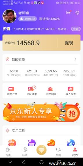 老鲫鱼-高佣联盟升级高级总监收入621元