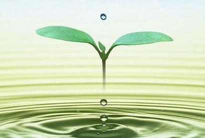 社交电商赚钱项目前景?活在当下最重要~ 社交电商赚钱项目前景?活在当下最重要~