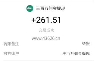 王百万收入提现截图