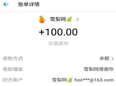 雪梨网最新收款100元到账