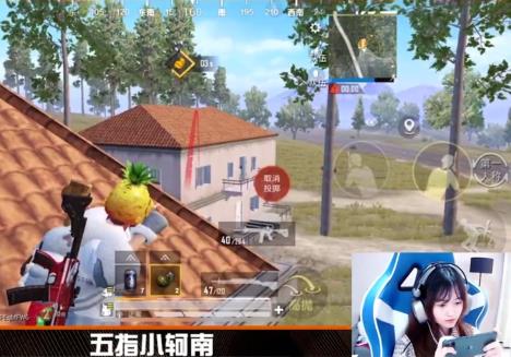 吃鸡直播