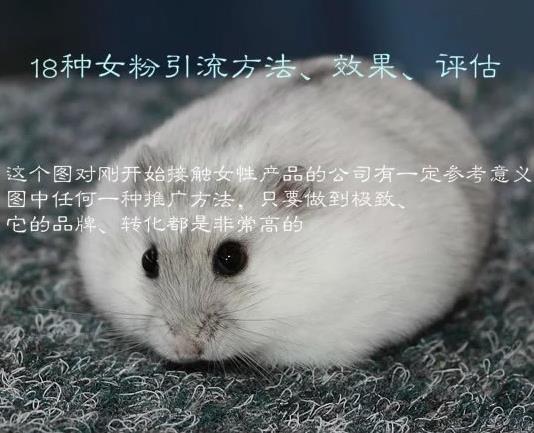 2016123043274793[1].jpg