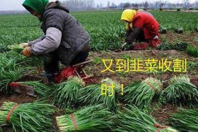 知乎高赞：什么是“副业刚需”下班有什么副业可做？配图