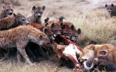 你的群里怎么赚钱?我能赚到钱么?配图 你的群里怎么赚钱?我能赚到钱么?配图