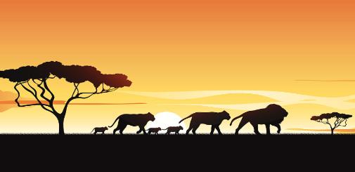 你可以不成功,但是不能不成长配图 你可以不成功,但是不能不成长配图