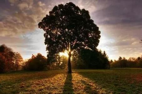 心灵鸡汤经典语录,句句暖心正能量配图