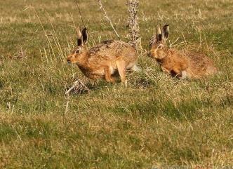 书接上回，次日，一大早，小林就联系我了配图