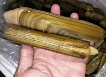 聊聊不起眼，很赚钱小生意：活海鲜运输配图