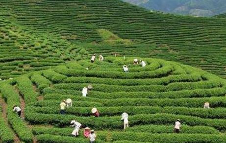 在农村开个什么厂子比较赚钱?配图 在农村开个什么厂子比较赚钱?配图