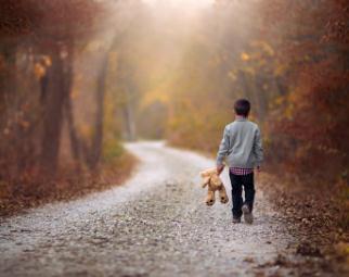 与其徒添伤口，不如绕过荆棘