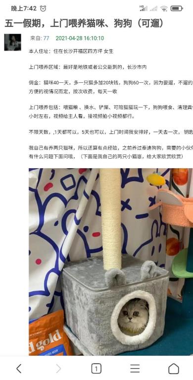赚钱小偏门：遛狗、喂猫也能赚钱