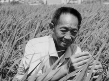 沉痛悼念袁隆平院士！