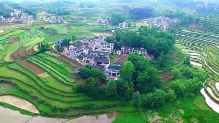 现在农村做点小生意，哪些行业比较容易赚钱