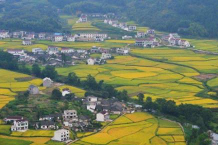 想要在农村生活，有哪些赚钱的机会？配图