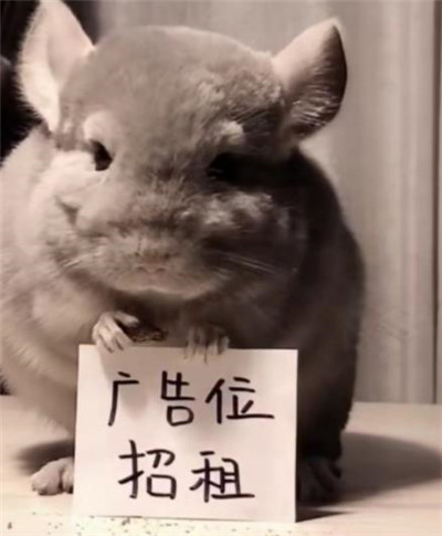 情人节这期间有哪些挣钱的方法？配图